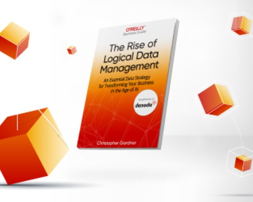 The Rise of Logical Data Management, from O'Reilly
