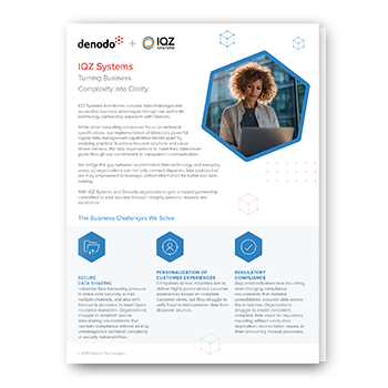 Turning Business Complexity into Clarity with IQZ Systems