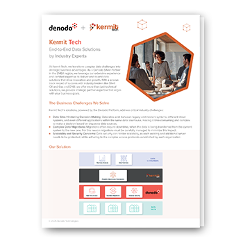 Kermit Tech & Denodo: End-to-End Data Solutions by Industry Experts
