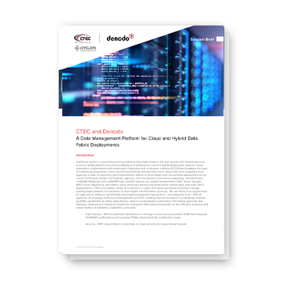 Customer Case Study: Cybermedia and Denodo