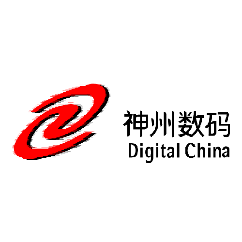 Digital China Group