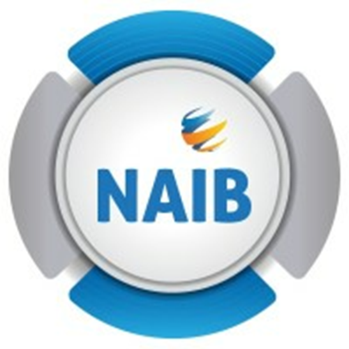 NAIB IT